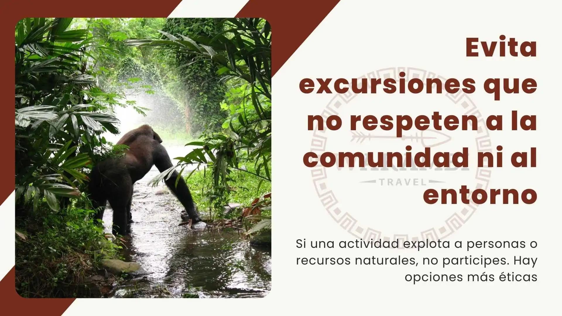 Excursiones que respetan el entorno